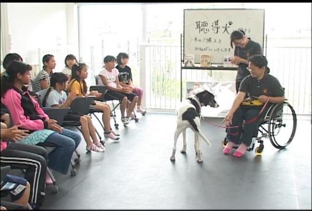 伊那小児童　補助犬の仕事学ぶ