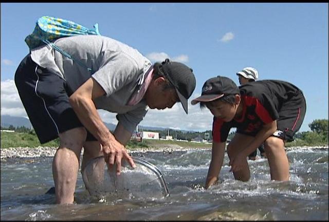 天竜川で水生生物水質調査