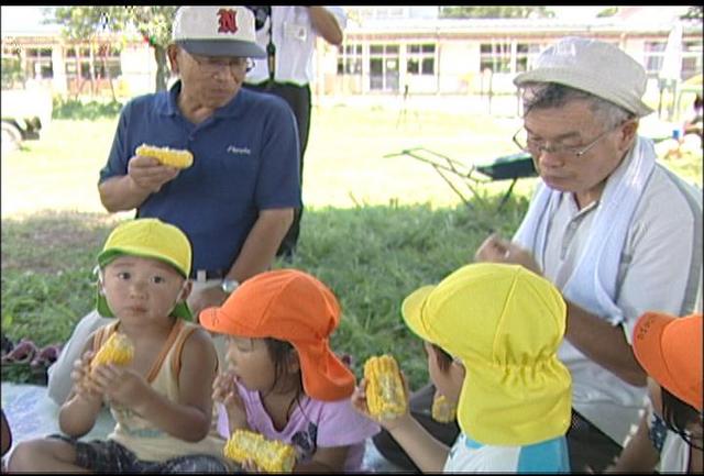 大萱保園児がトウモロコシ収穫体験