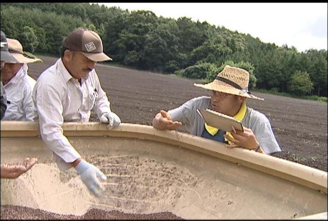 赤そばの里で播種