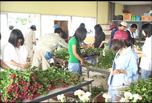 上農盆花市準備