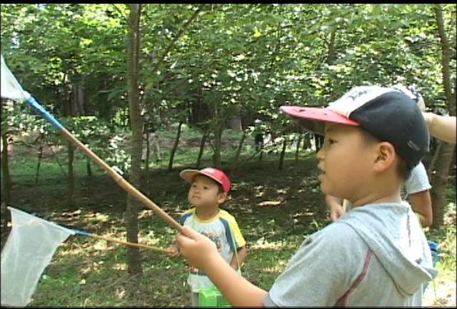 ますみヶ丘平地林で昆虫観察学習会