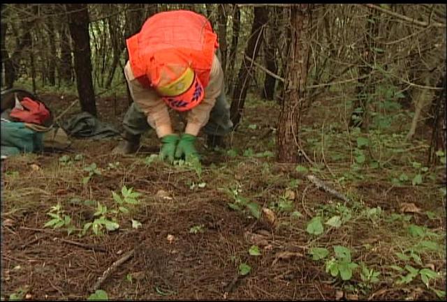 伊那市がくくりわなの特区申請へ