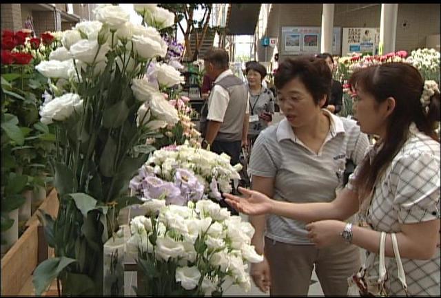 上伊那花卉品評会