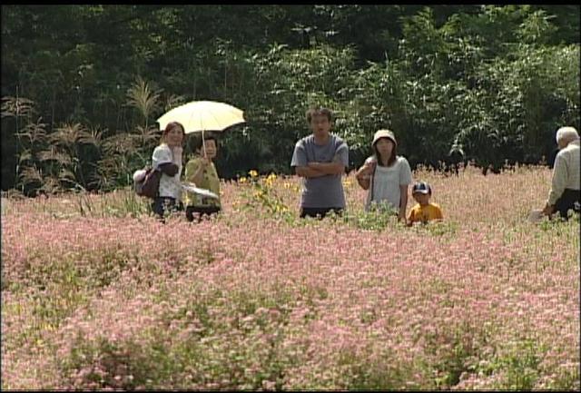 箕輪町上古田赤そばの里　里開き