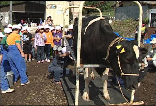 伊那小と東春近小が牛で交流