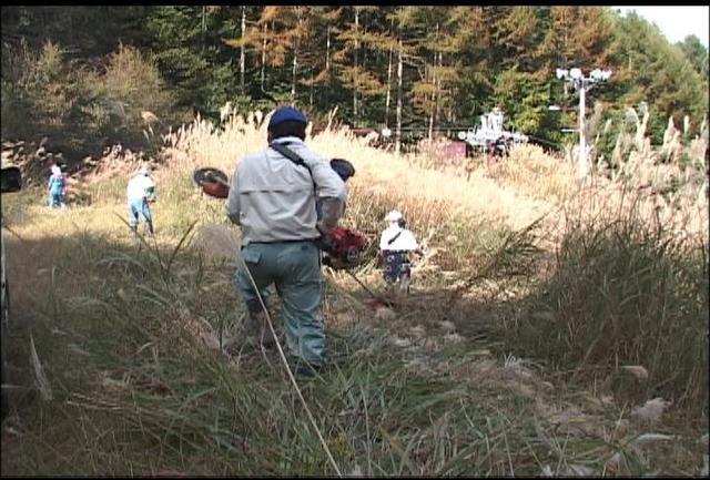 中ア山麓スキー学校伊那教室　ゲレンデ草刈り作業