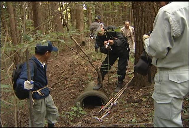 クマのねぐらを調査