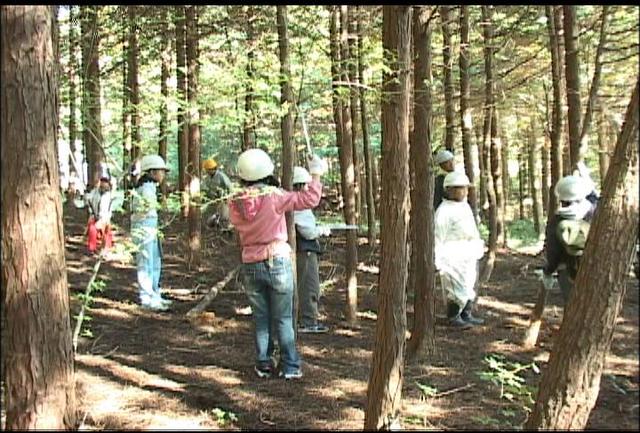 西春近北小学校　枝打ちや間伐を体験