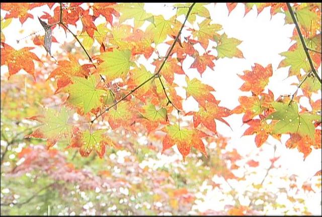 高遠城址の秋まつり　開幕