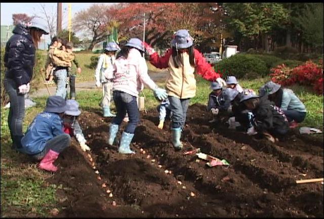 ガールスカウト花壇整備