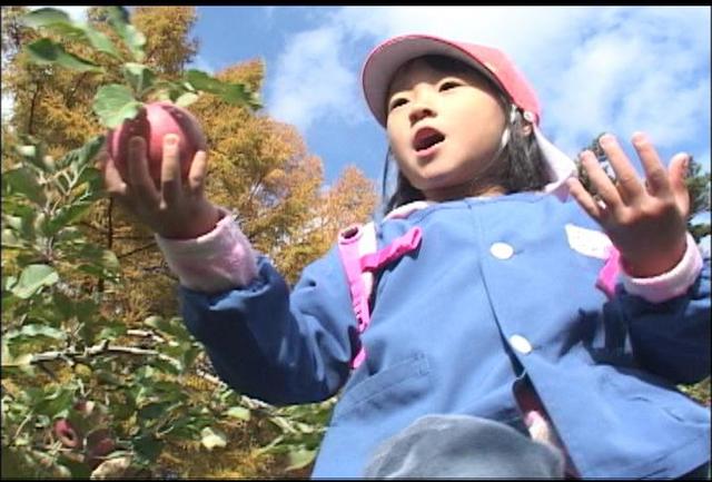 南原保　園児がりんご狩り