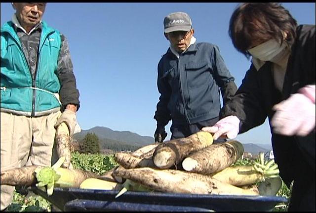 箕輪町北部営農組合　大根・白菜収穫販売イベント