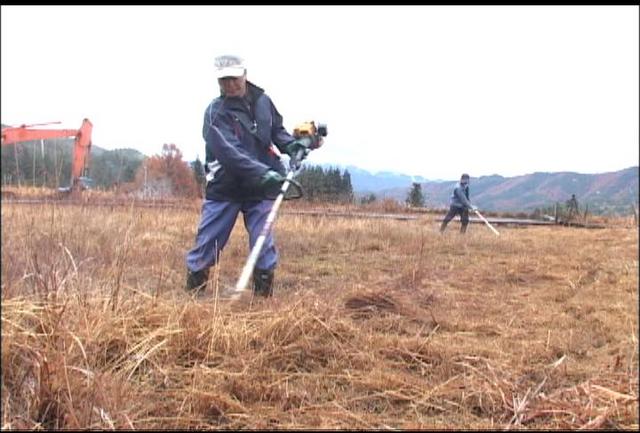 トンボの楽園　整備作業