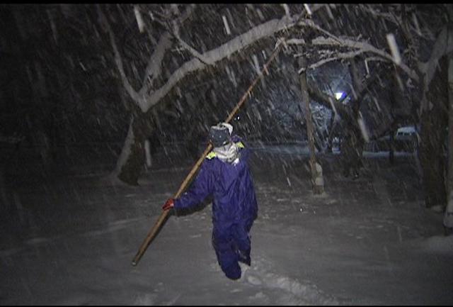 上伊那地域積雪20センチ