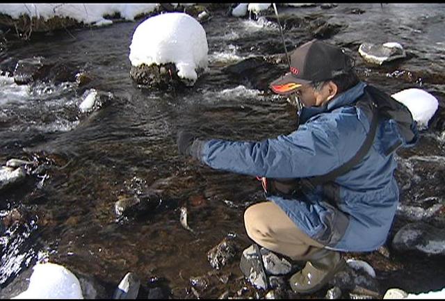 天竜川水系で渓流釣り解禁