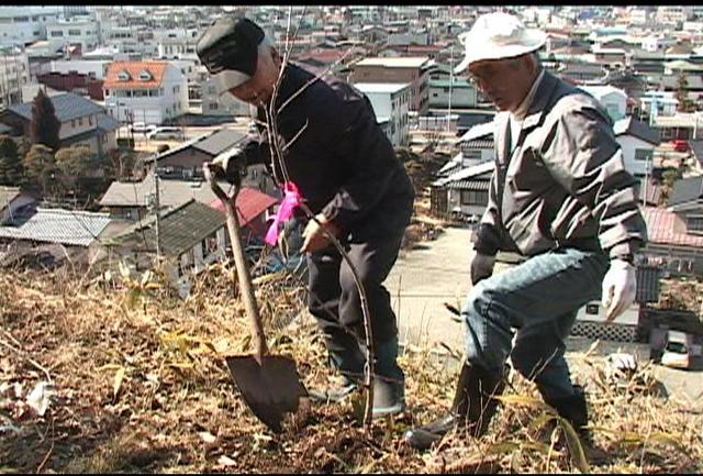 伊那公園桜愛護会　急傾斜地に植樹