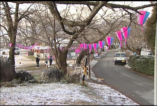 伊那公園でぼんぼり取付け