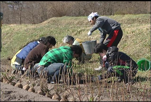 中部電力伊那営業所が苗木を寄贈