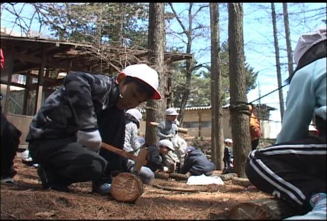 伊那西小学校　キノコの菌打ち