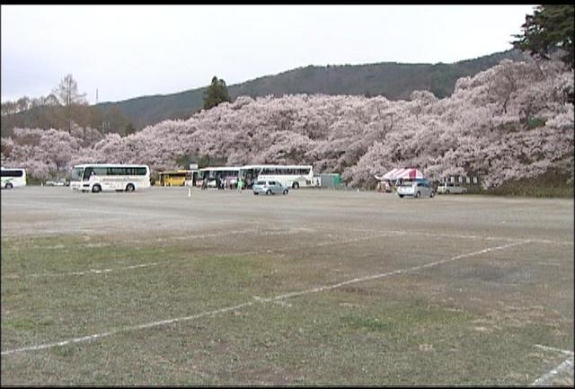 高遠城址公園の入り込み減少