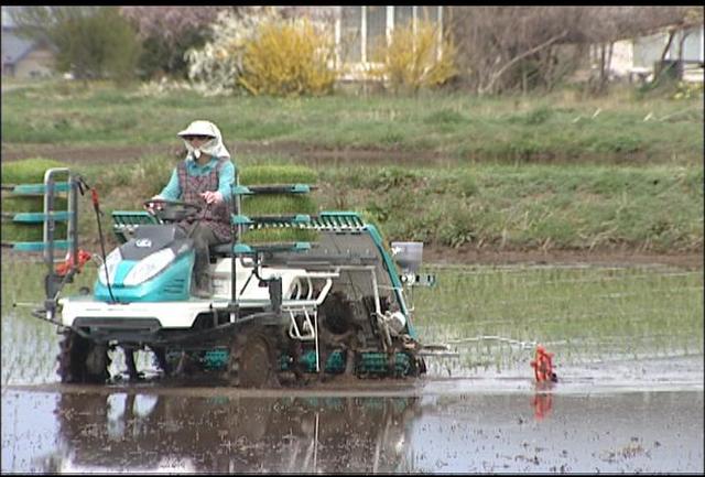 伊那市手良で田植え始まる