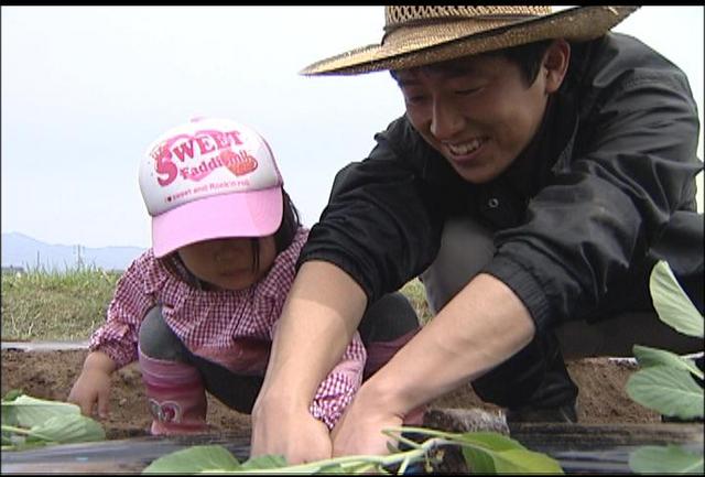 子どもたちが苗植え作業