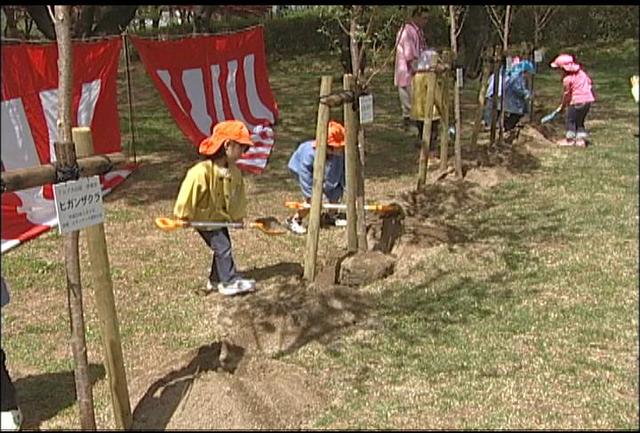 ルネッサンス西町の会　保育園児と一緒に春日公園に桜の苗木