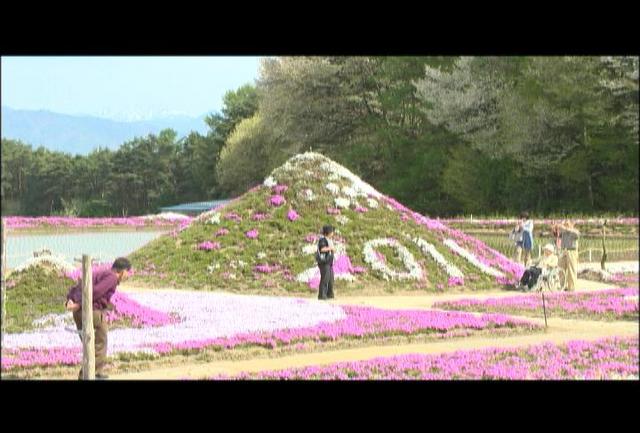 伊那地域の最高気温25.9度　夏日