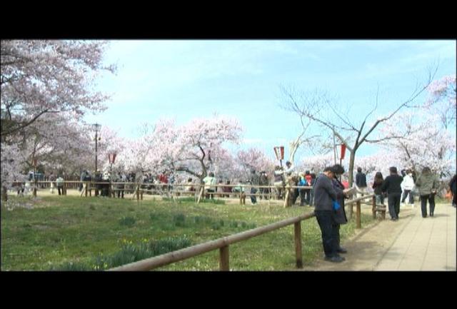 入園者数、去年と比べ7万人減