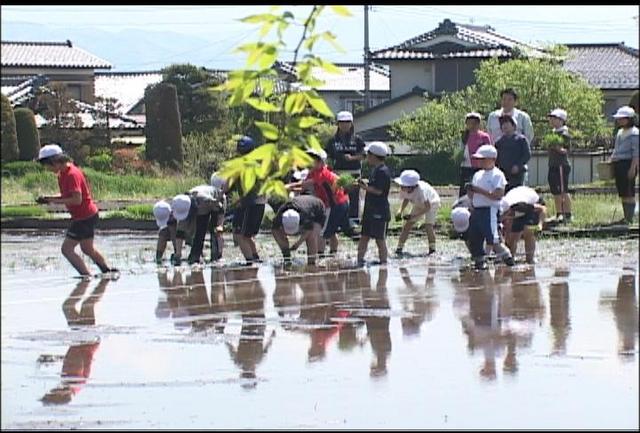 仁組　西天の水で米を栽培