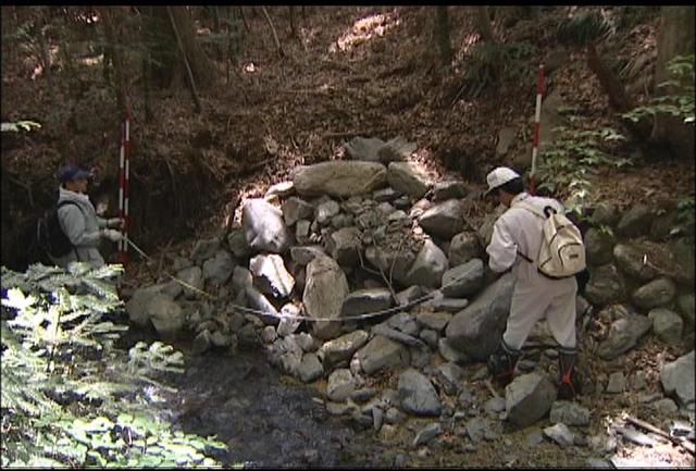 箕輪町が河川調査