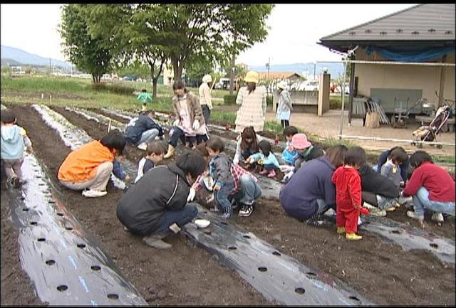 わんぱく親子塾　野菜の植付