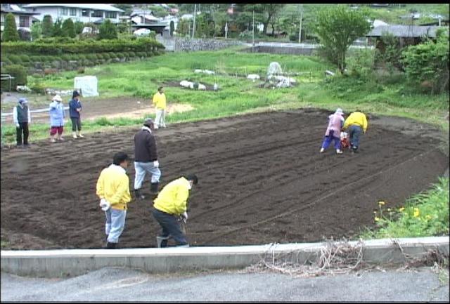 さくらの家　エゴマの種まき