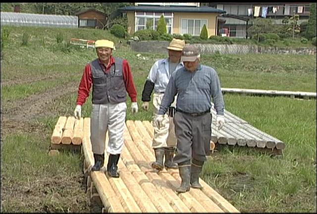 トンボの楽園で整備作業