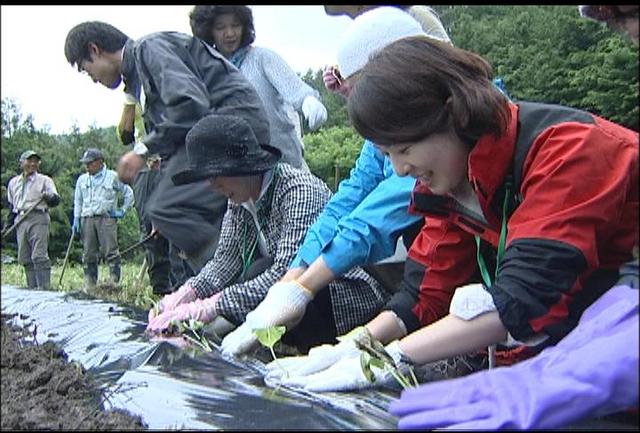 耕作放棄地再生へ　農業体験交流