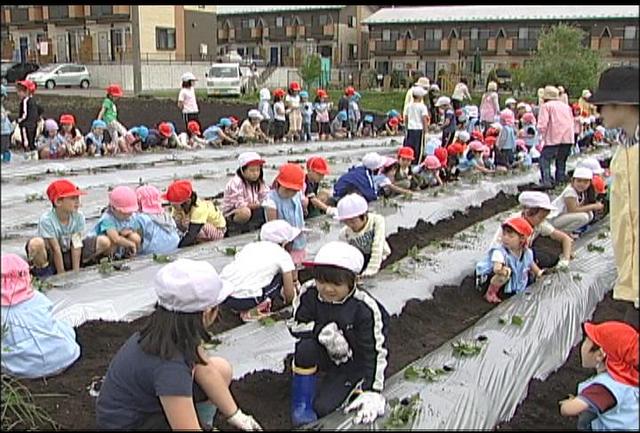 南原保育園の園児と南部小学校の児童　さつまいもの苗を植える