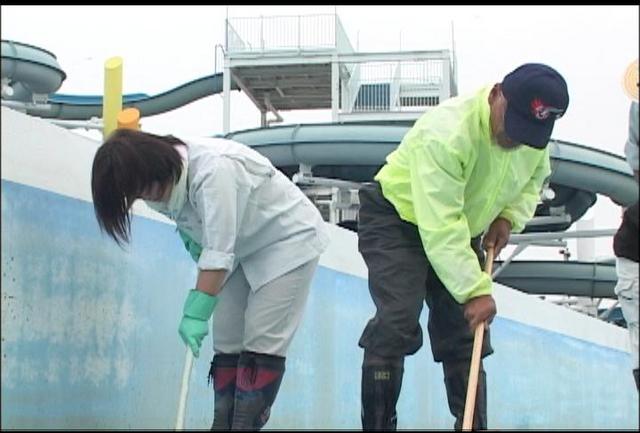 伊那市民プール　夏休み除き平日休み