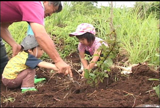 上新田公園をつくる会がアジサイ植樹