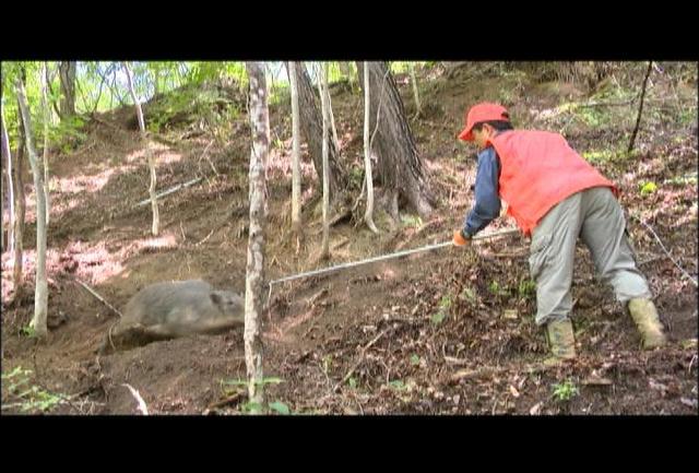 上伊那猟友会　鳥獣生体搬送用のDVD制作