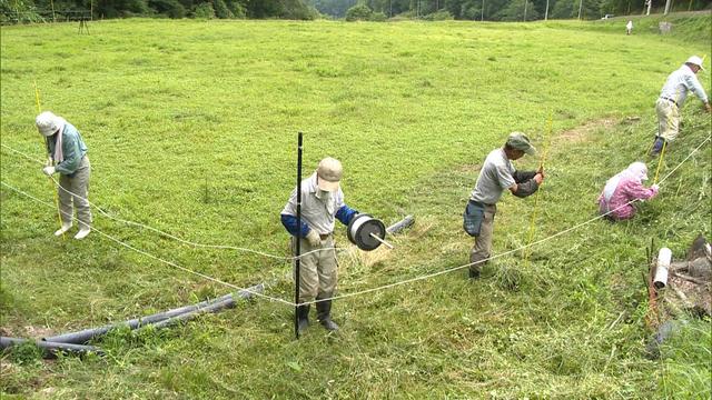 あすなろ会本沢牧場に電気柵設置