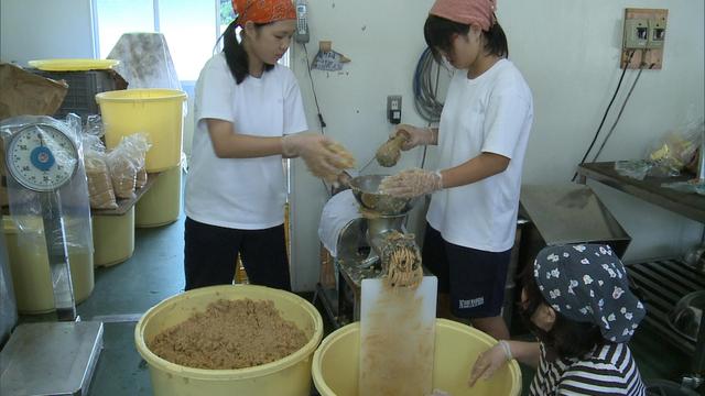 西早稲田中学校が農業体験