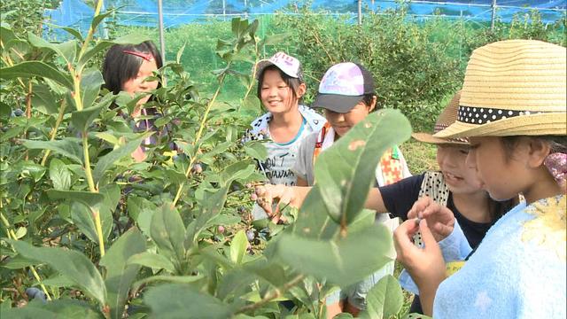 福島県会津若松市と大熊町の小学生が伊那市を訪れる