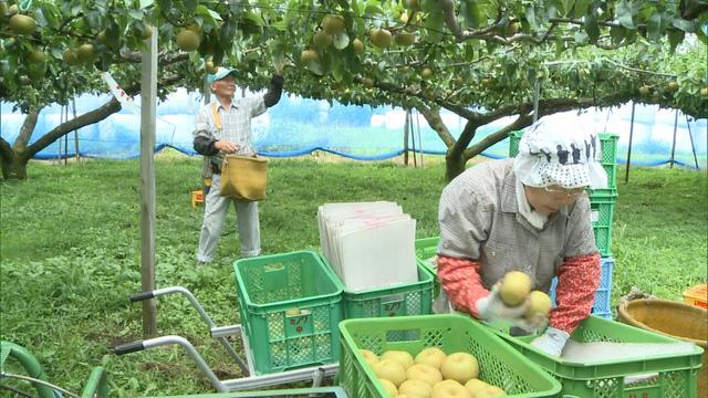 台風12号　3日昼過ぎから夜遅くにかけ上伊那に最接近