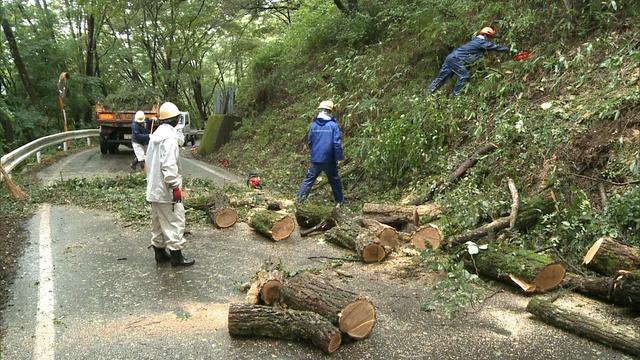 高遠町で倒木　一時通行止めに