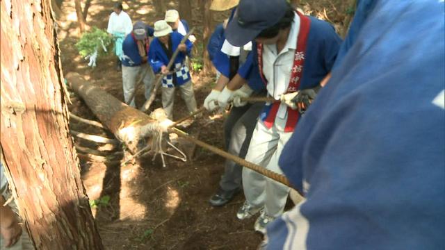 南福地御柱祭　山出し