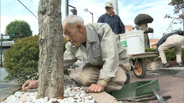 荒井区で街路樹の整備作業