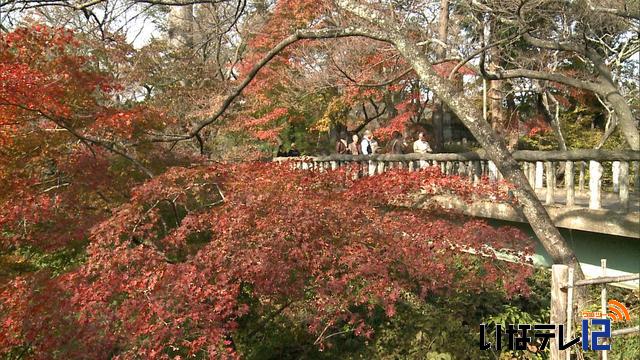 高遠城址の秋まつり