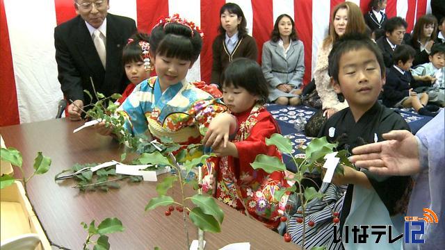 南宮神社で七五三祈願祭