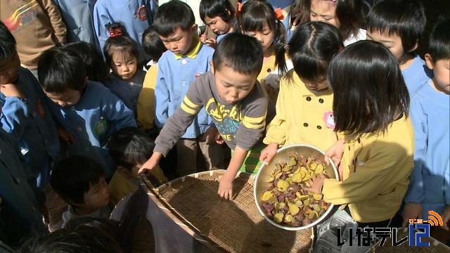 園児が干しいも作りに挑戦